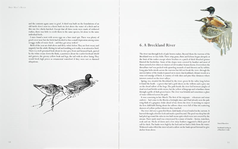 Bird Man's River Page